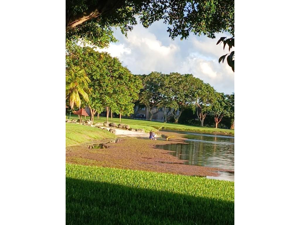 15300 SW 106th Terrace #520 Miami FL 33196 O6351621 image67