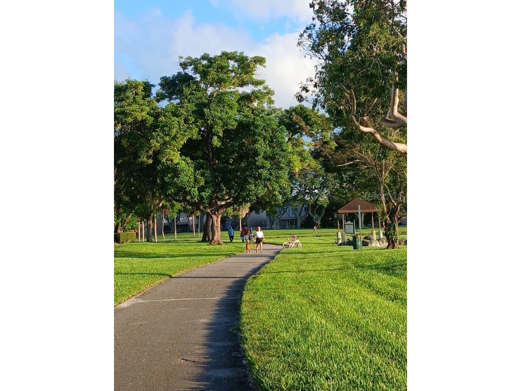 15300 SW 106th Terrace #520 Miami FL 33196 O6351621 image69