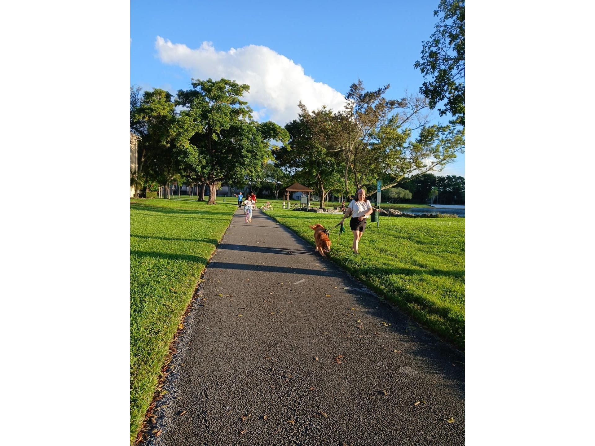 15300 SW 106th Terrace #520 Miami FL 33196 O6420160 image25