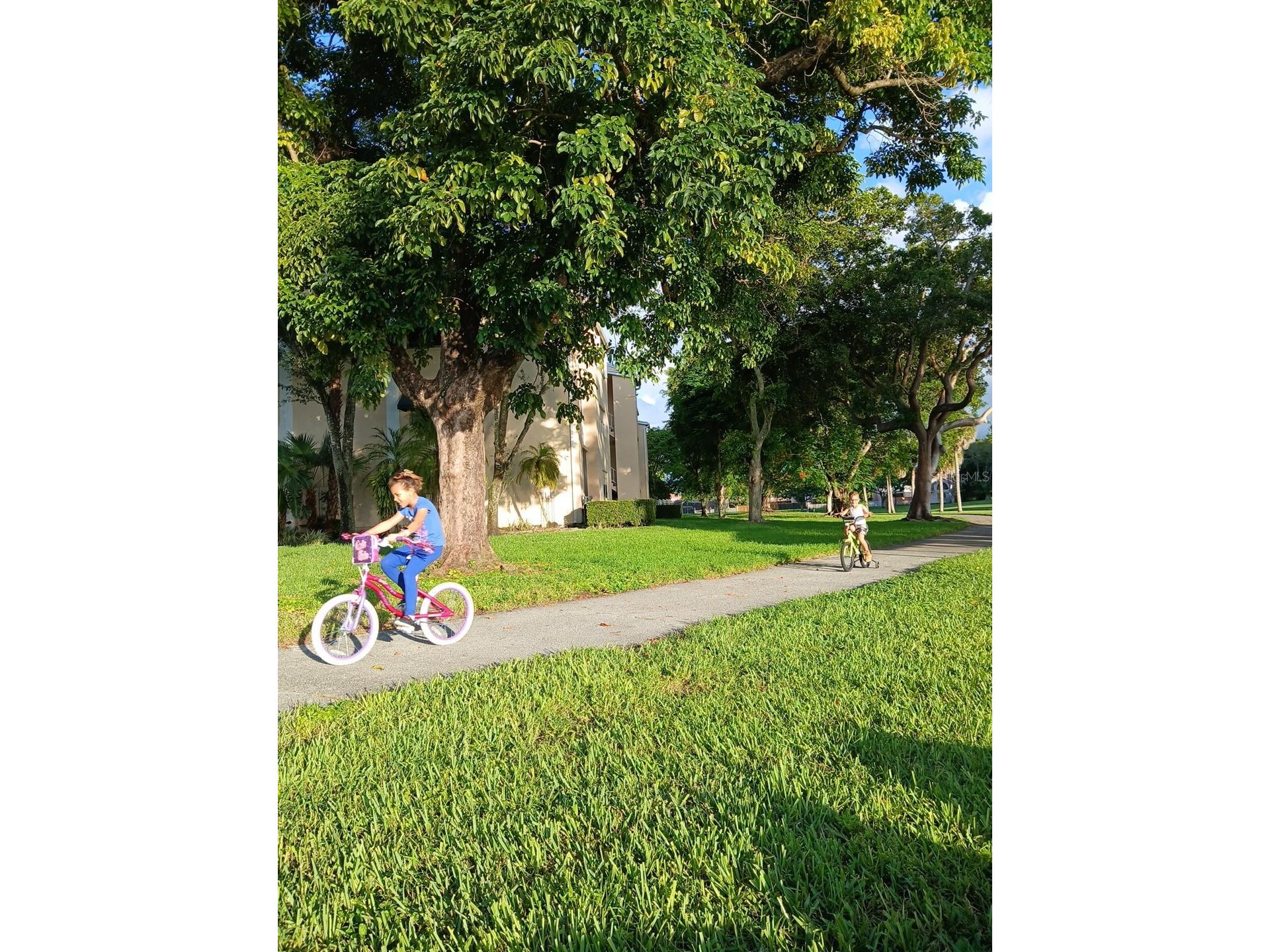 15300 SW 106th Terrace #520 Miami FL 33196 O6420160 image29