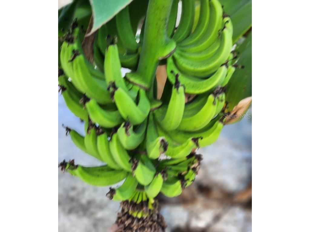 15301 Chinook Way Port Charlotte FL 33981 D6143895 image40