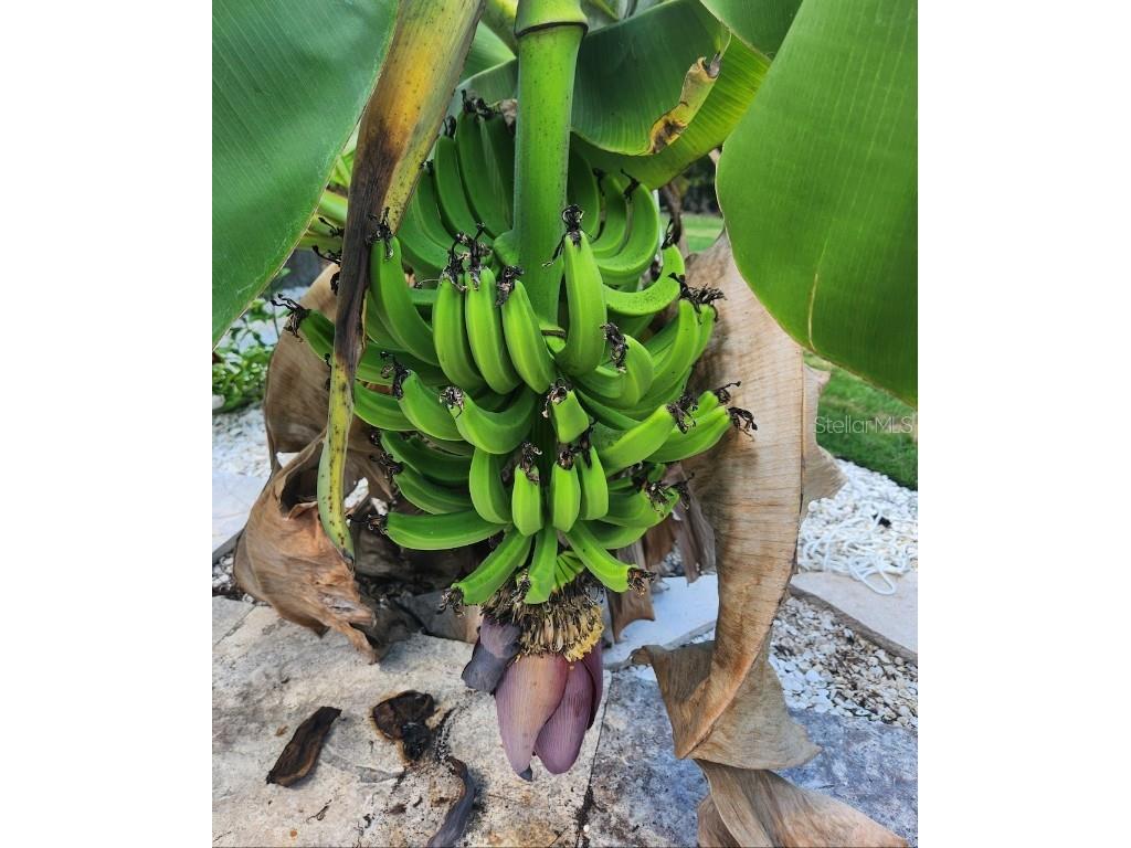 15301 Chinook Way Port Charlotte FL 33981 D6143895 image41