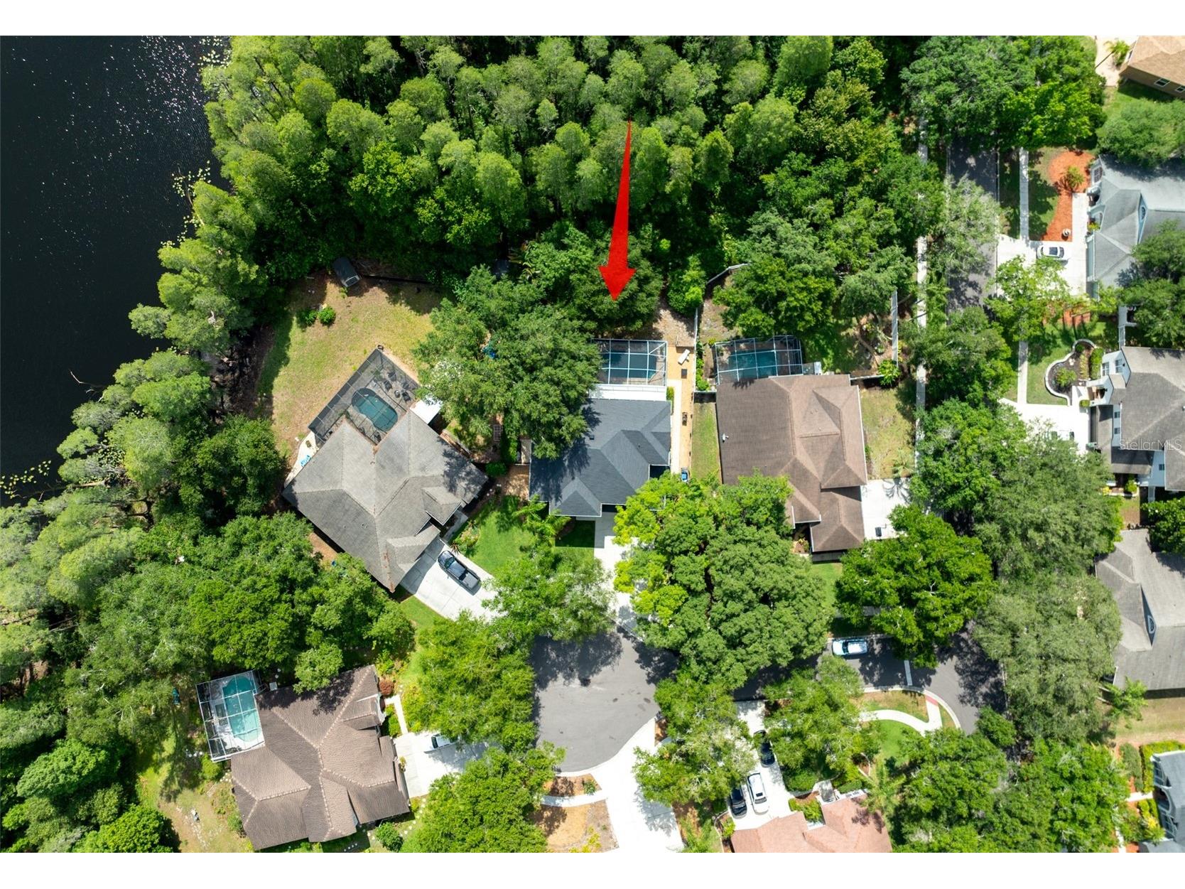 15303 Hidden Arbor Court Odessa FL 33556 TB8508998 image4