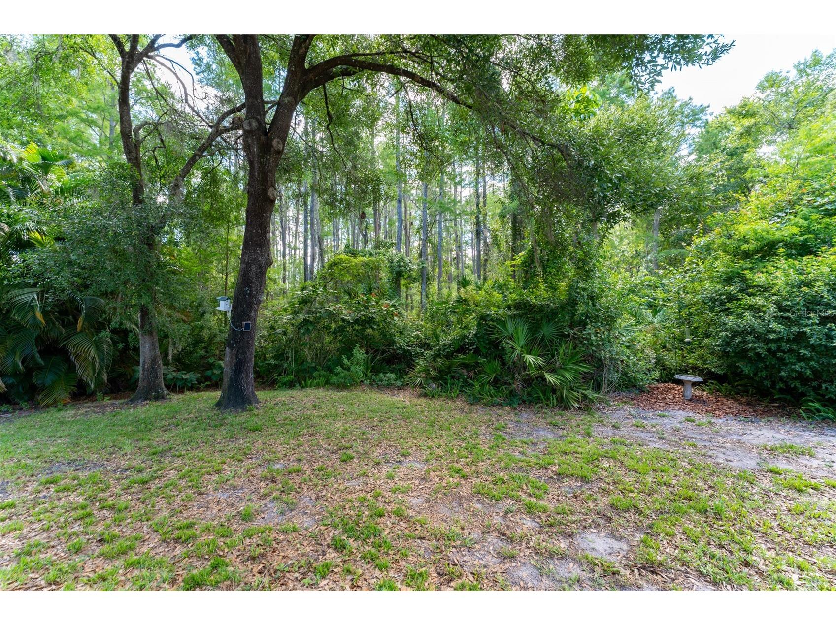 15303 Hidden Arbor Court Odessa FL 33556 TB8508998 image56