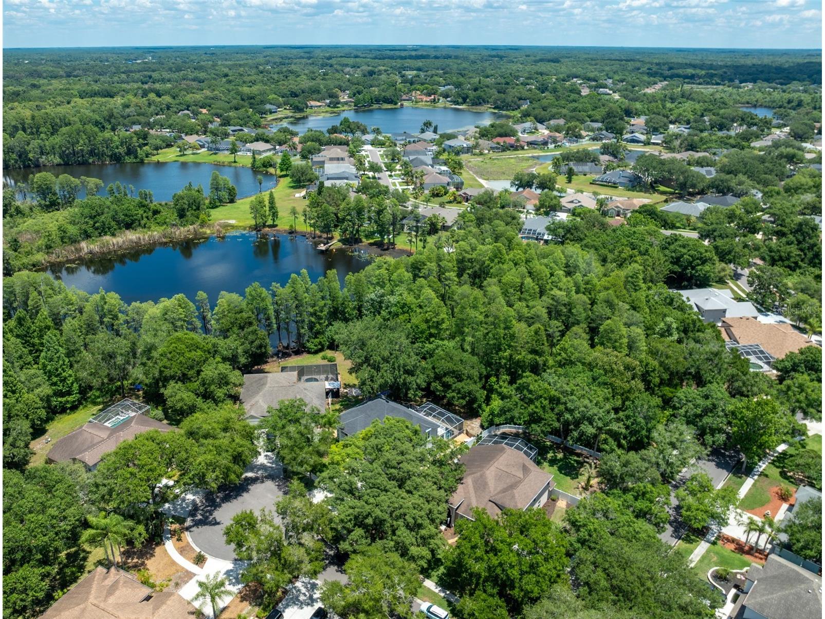 15303 Hidden Arbor Court Odessa FL 33556 TB8508998 image64