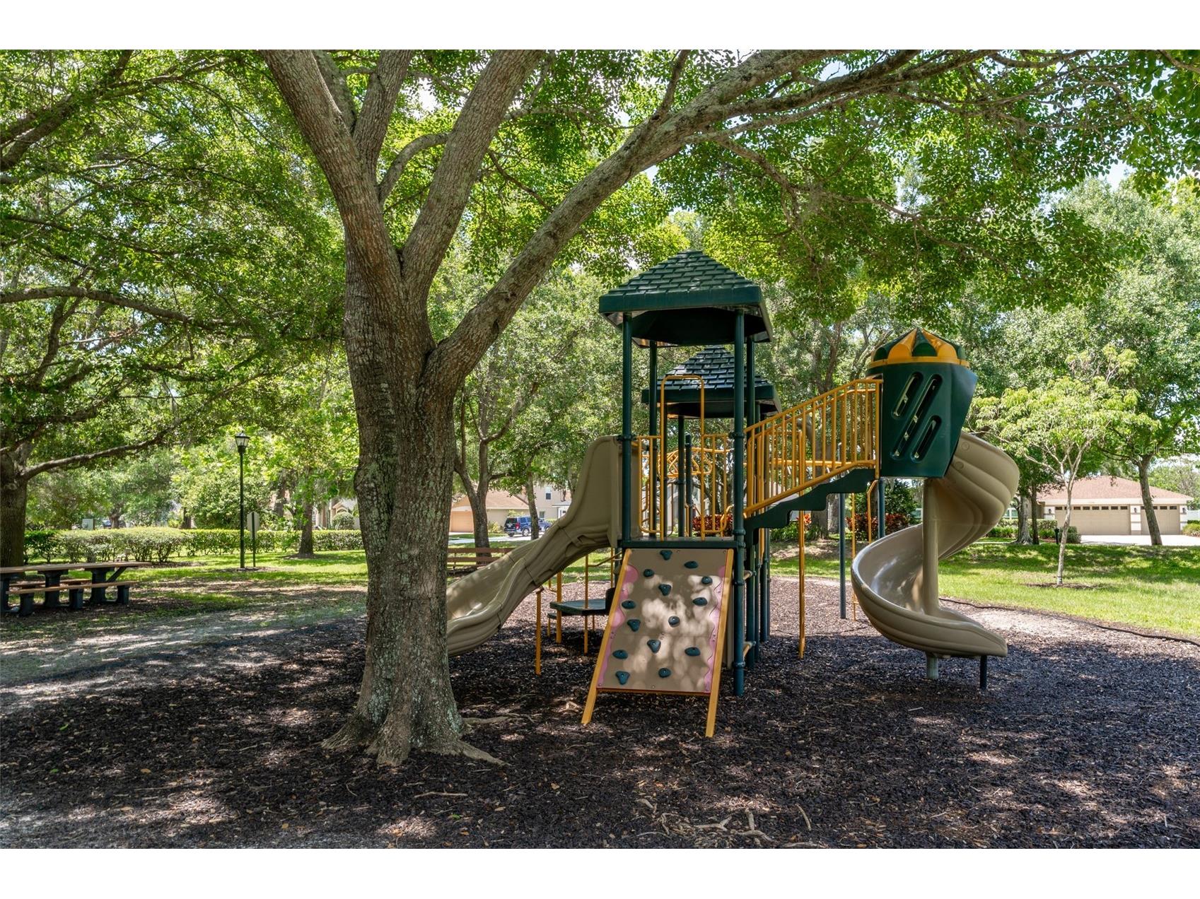 15303 Hidden Arbor Court Odessa FL 33556 TB8508998 image67