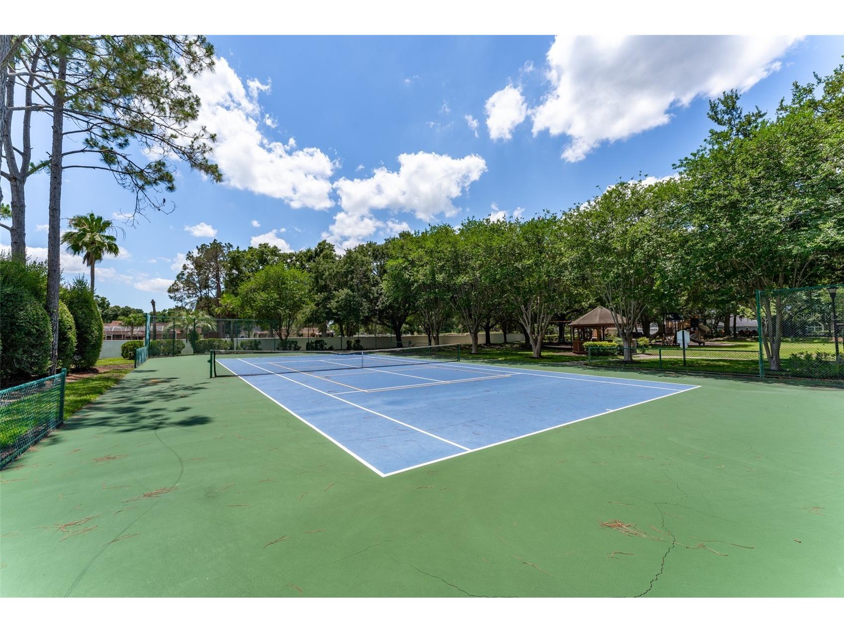 15303 Hidden Arbor Court Odessa FL 33556 TB8508998 image69