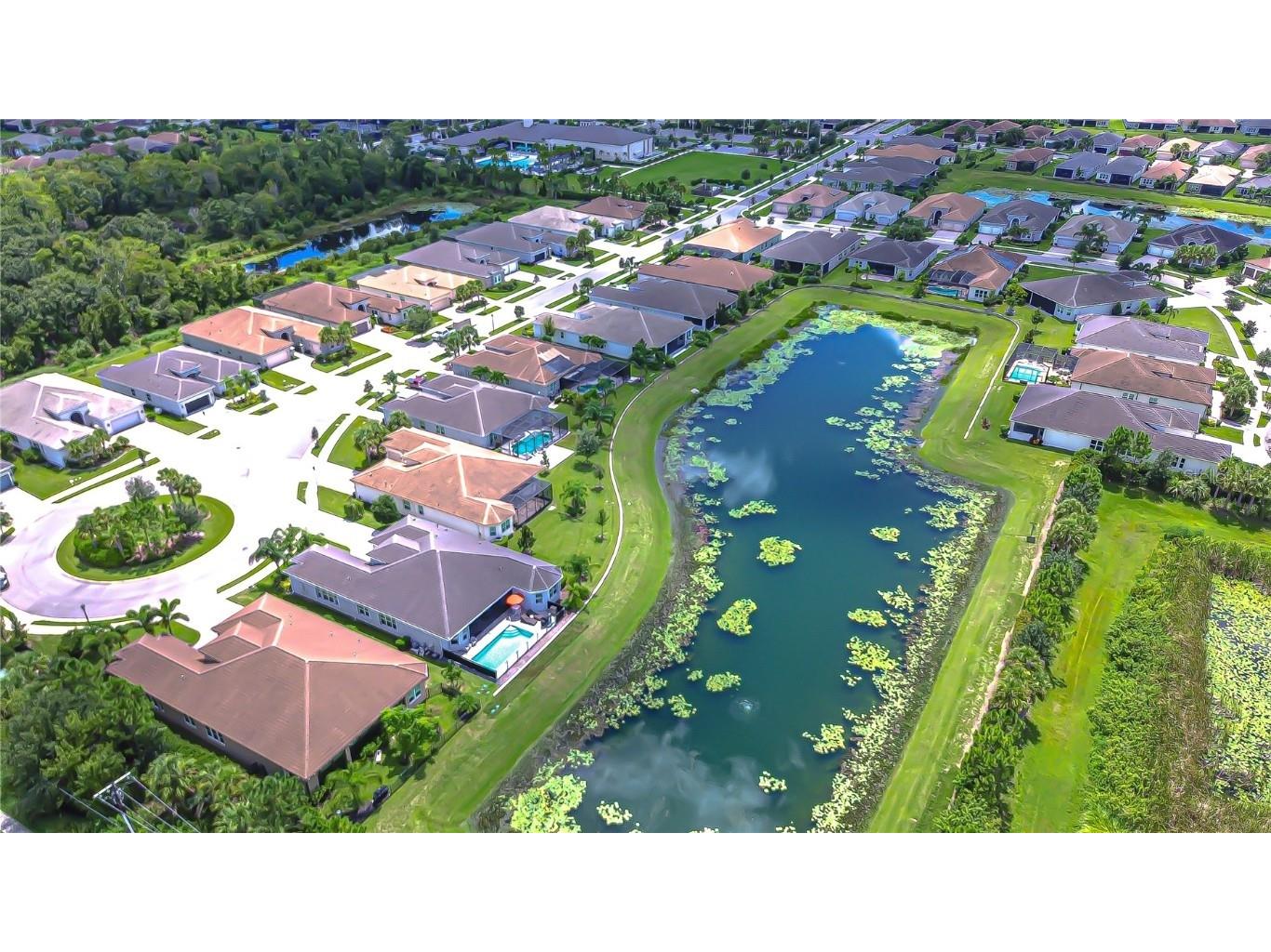 15303 Valencia Del Sol Street Wimauma FL 33598 TB8422436 image2