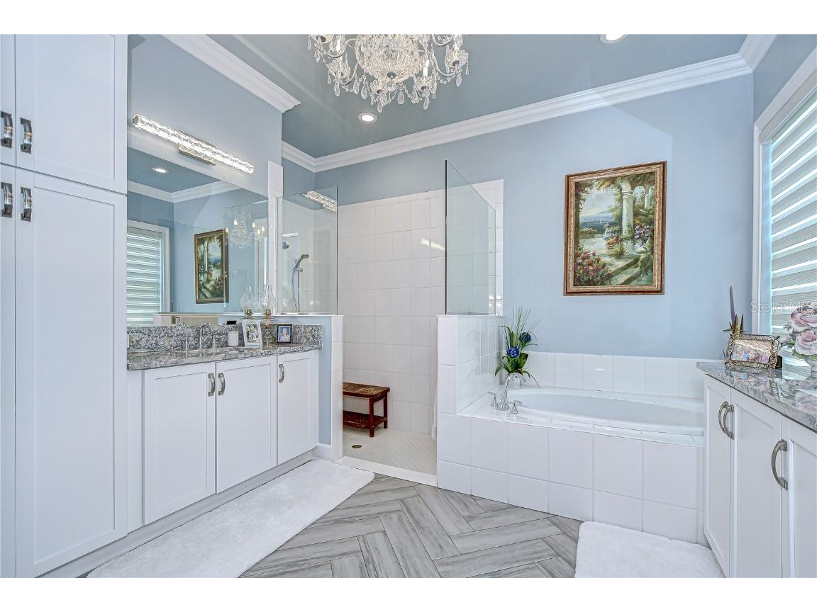 15303 Valencia Del Sol Street Wimauma FL 33598 TB8422436 image21