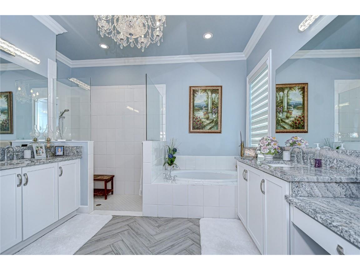 15303 Valencia Del Sol Street Wimauma FL 33598 TB8422436 image22