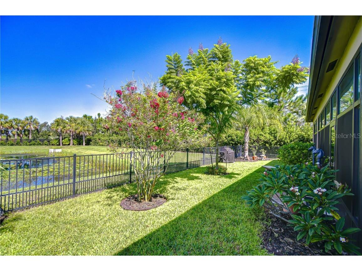 15303 Valencia Del Sol Street Wimauma FL 33598 TB8422436 image41