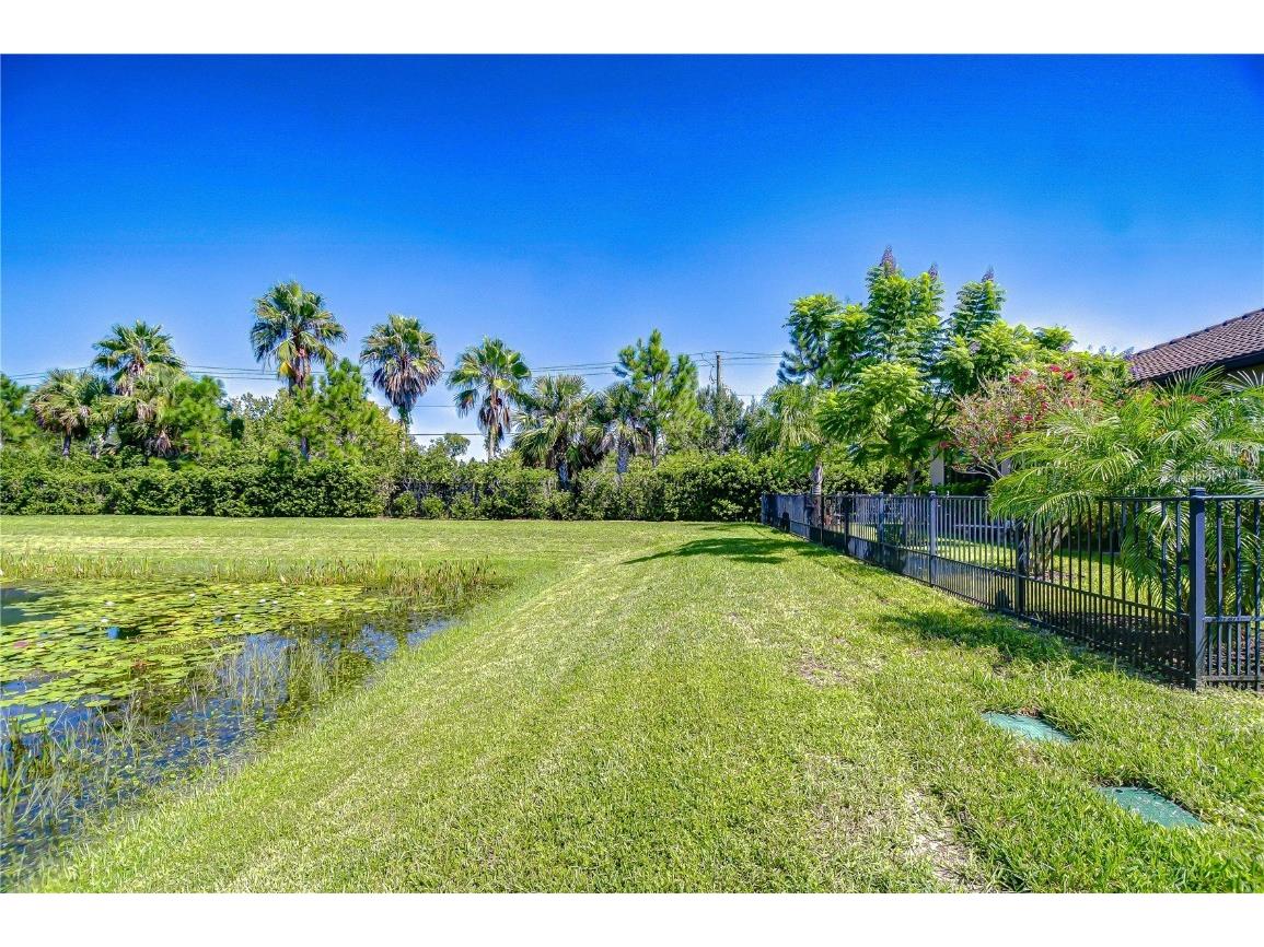 15303 Valencia Del Sol Street Wimauma FL 33598 TB8422436 image42