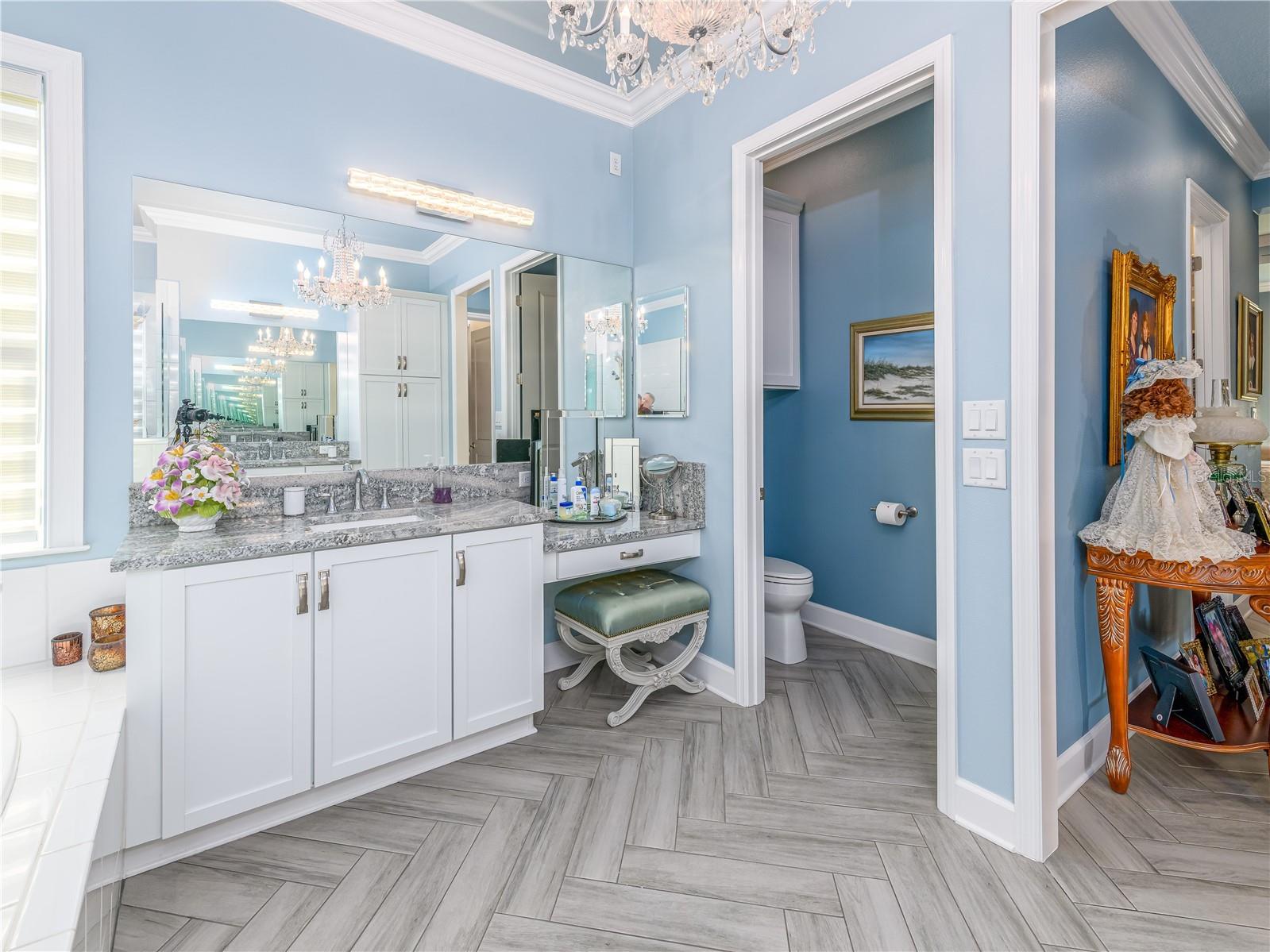 15303 Valencia Del Sol Street Wimauma FL 33598 TB8478800 image39