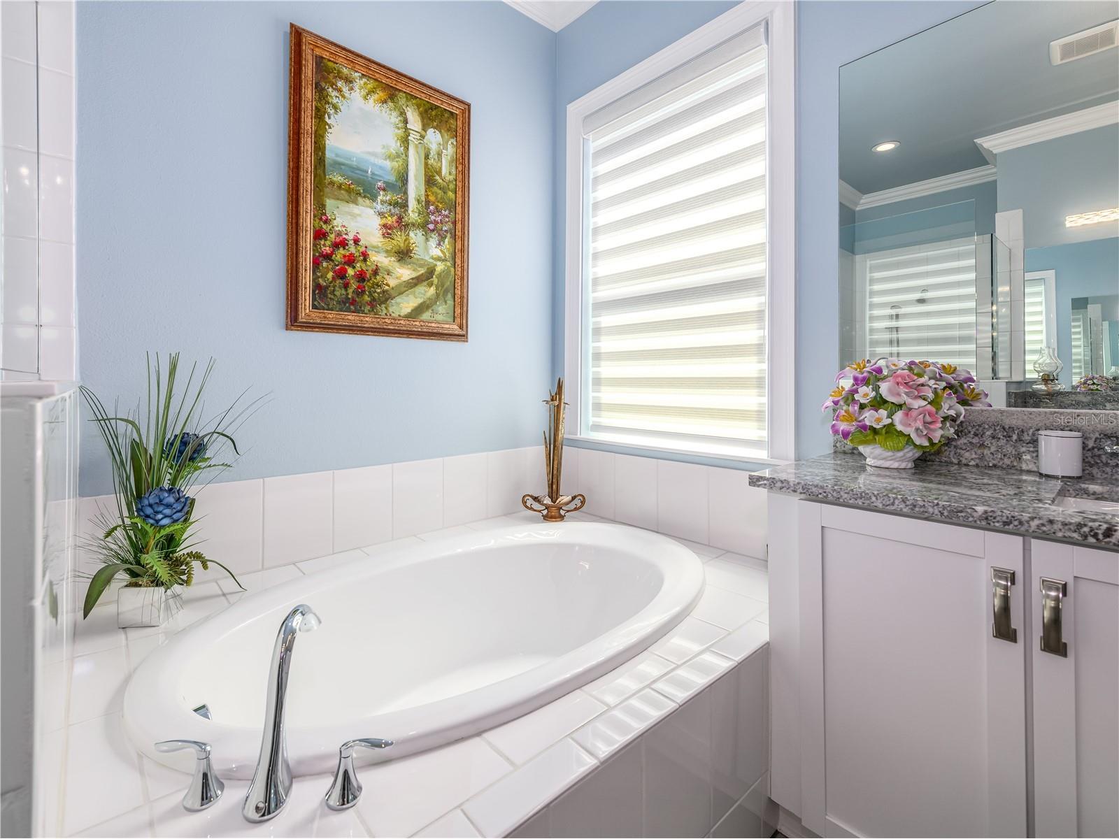 15303 Valencia Del Sol Street Wimauma FL 33598 TB8478800 image40