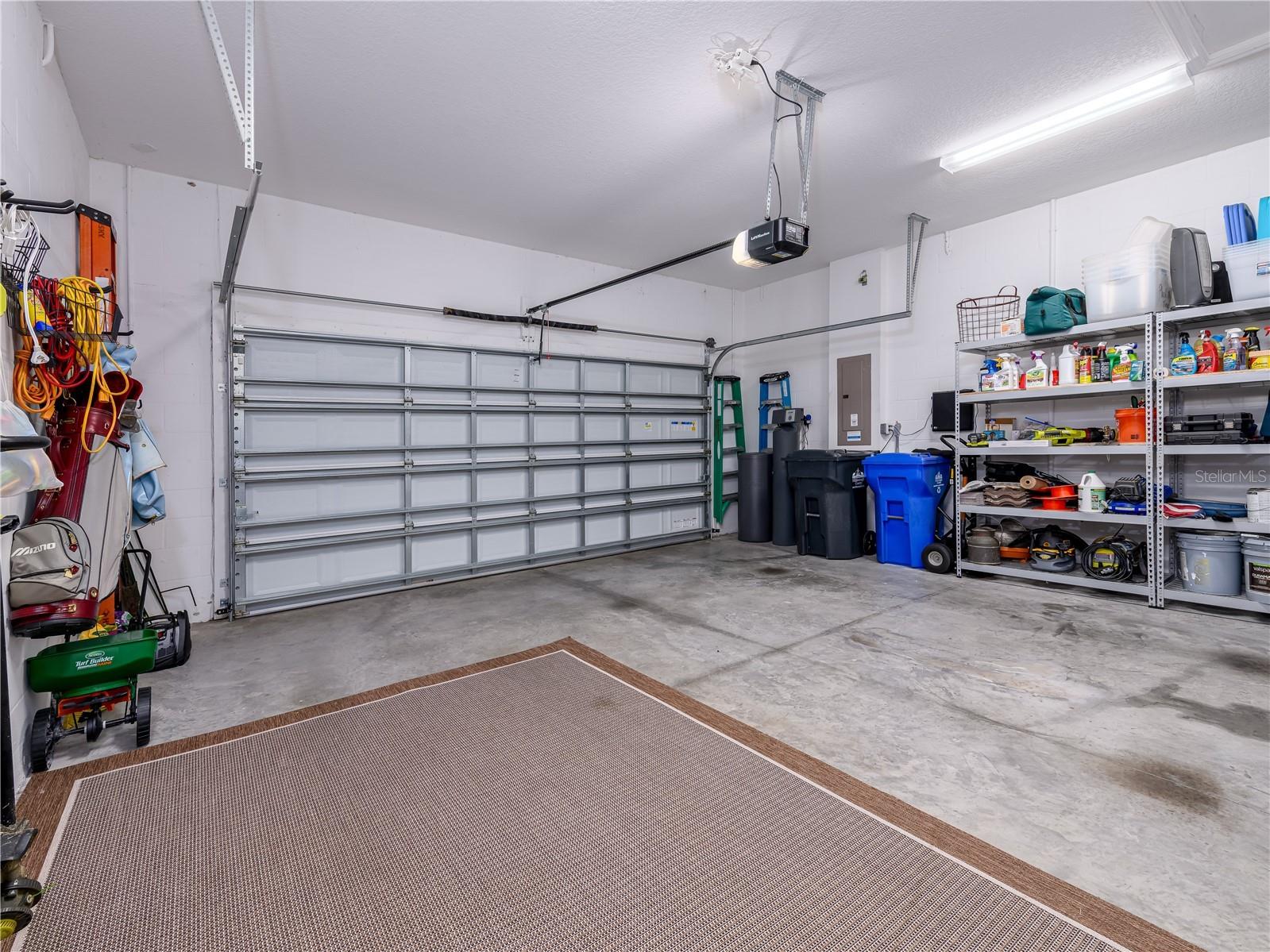 15303 Valencia Del Sol Street Wimauma FL 33598 TB8478800 image56