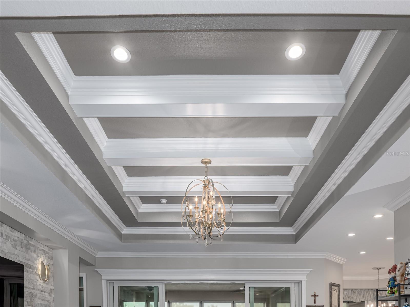 15303 Valencia Del Sol Street Wimauma FL 33598 TB8478800 image6