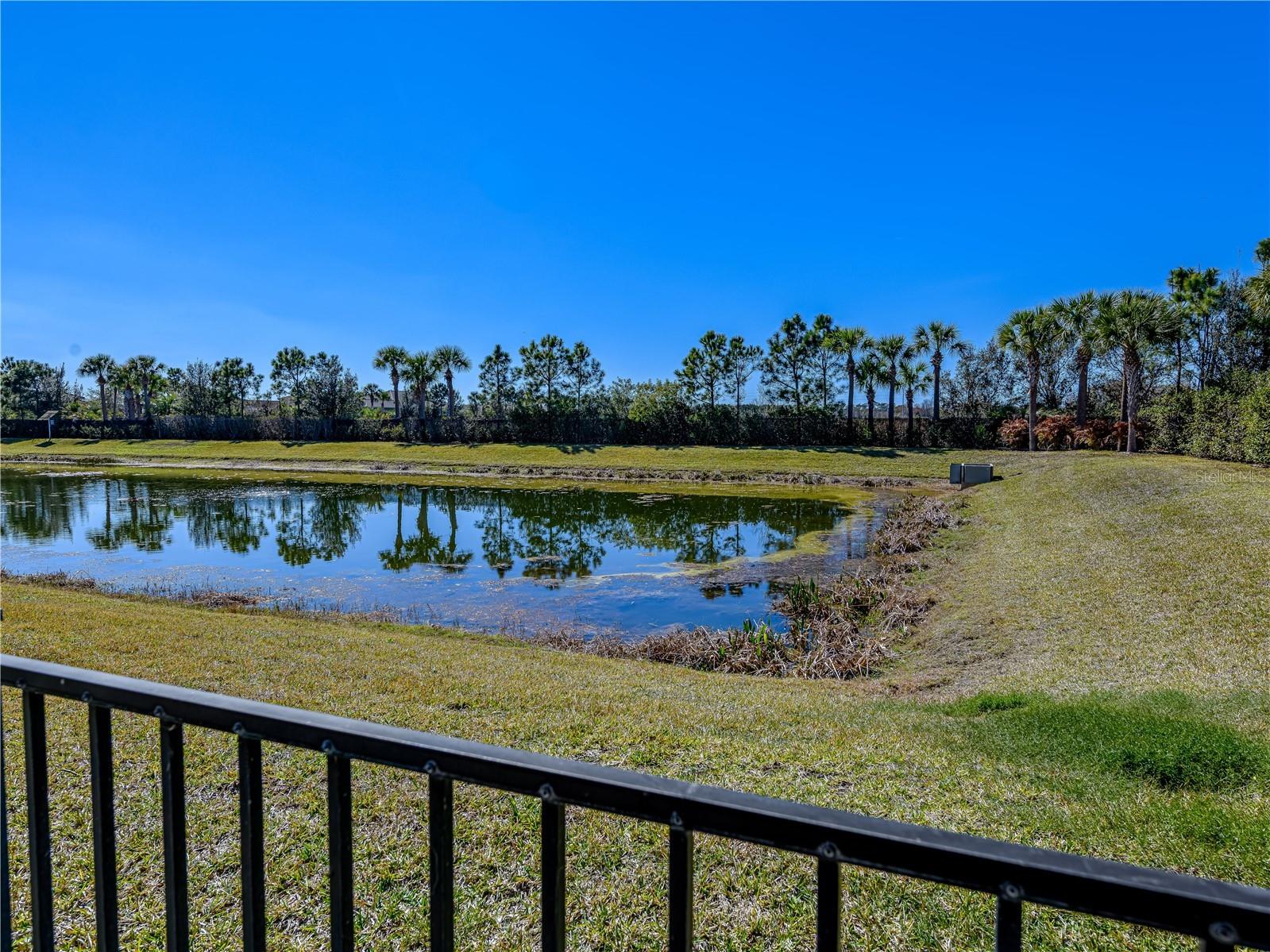 15303 Valencia Del Sol Street Wimauma FL 33598 TB8478800 image62