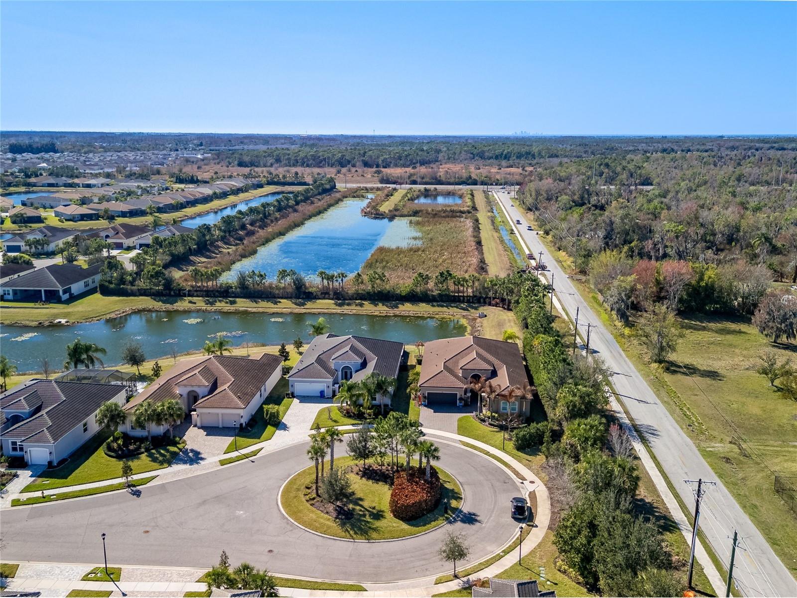 15303 Valencia Del Sol Street Wimauma FL 33598 TB8478800 image68