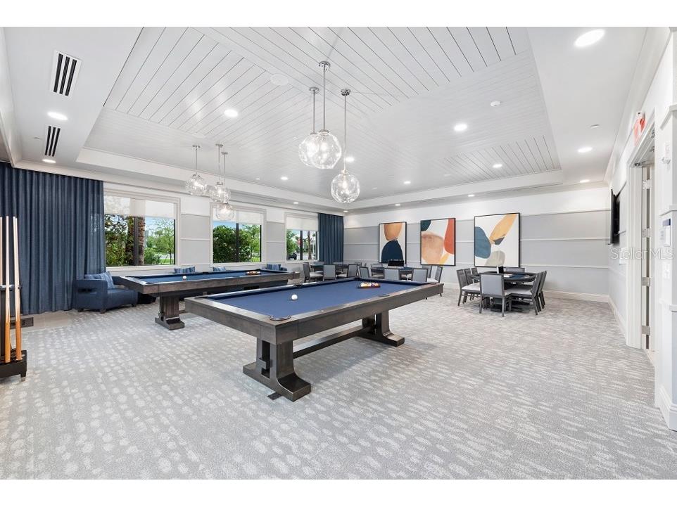 15303 Valencia Del Sol Street Wimauma FL 33598 TB8478800 image75