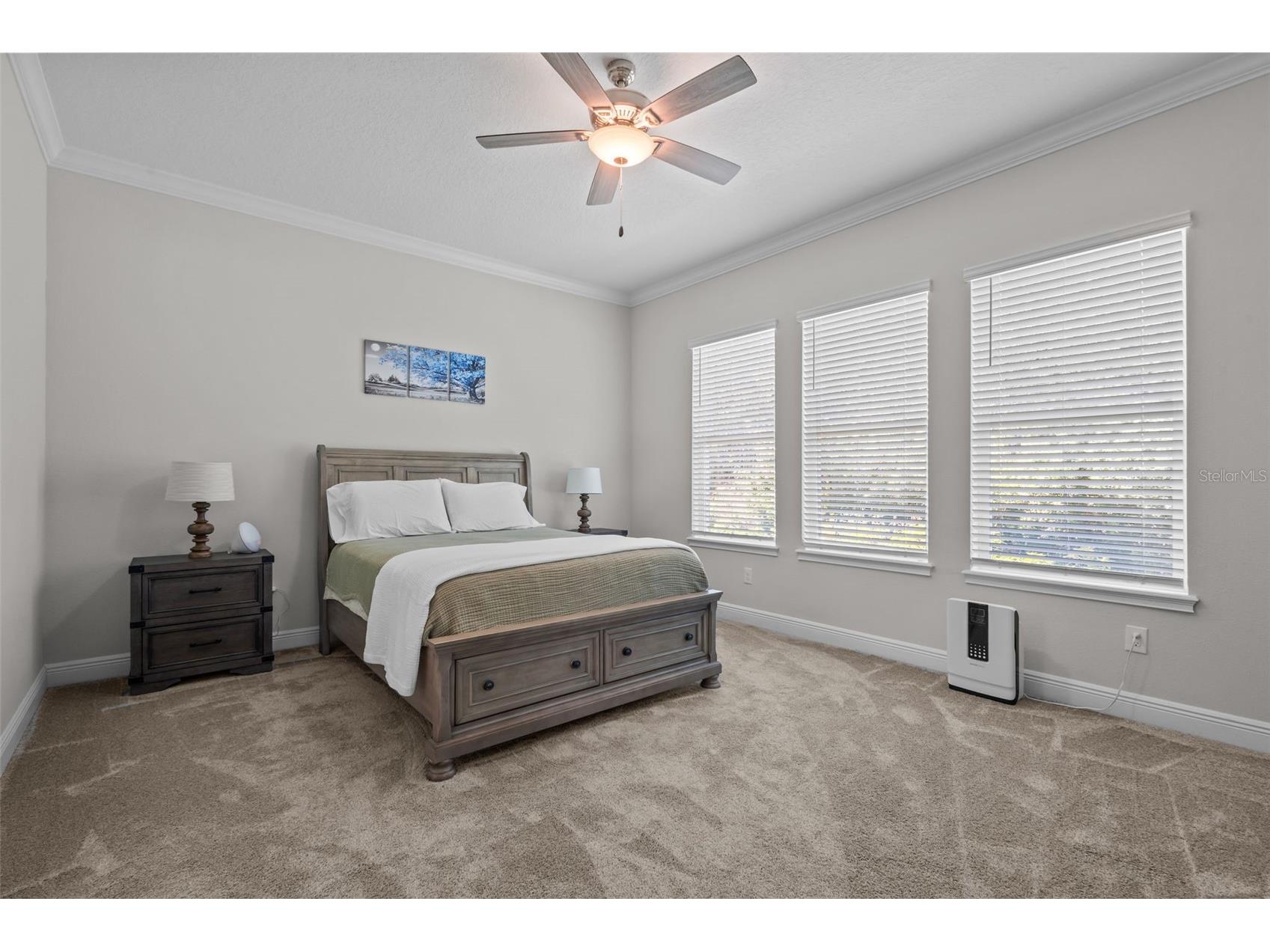 15304 Fenland Way Odessa FL 33556 TB8500426 image14