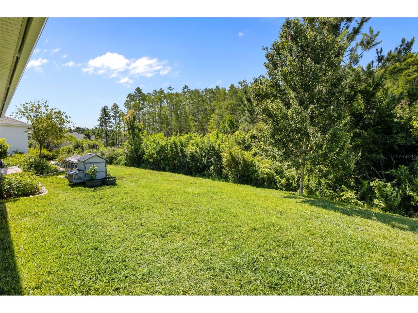 15304 Fenland Way Odessa FL 33556 TB8500426 image28