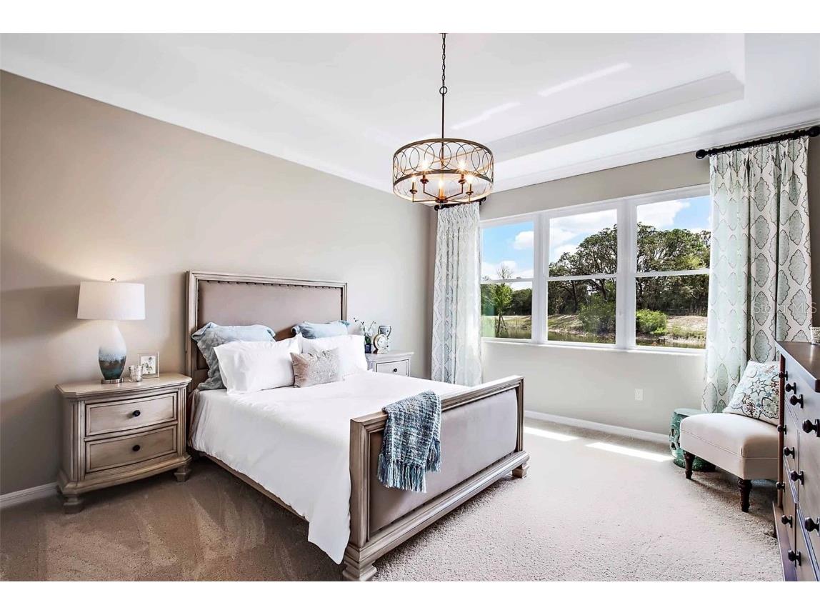 15304 Serengeti Boulevard Spring Hill FL 34610 TB8330266 image8