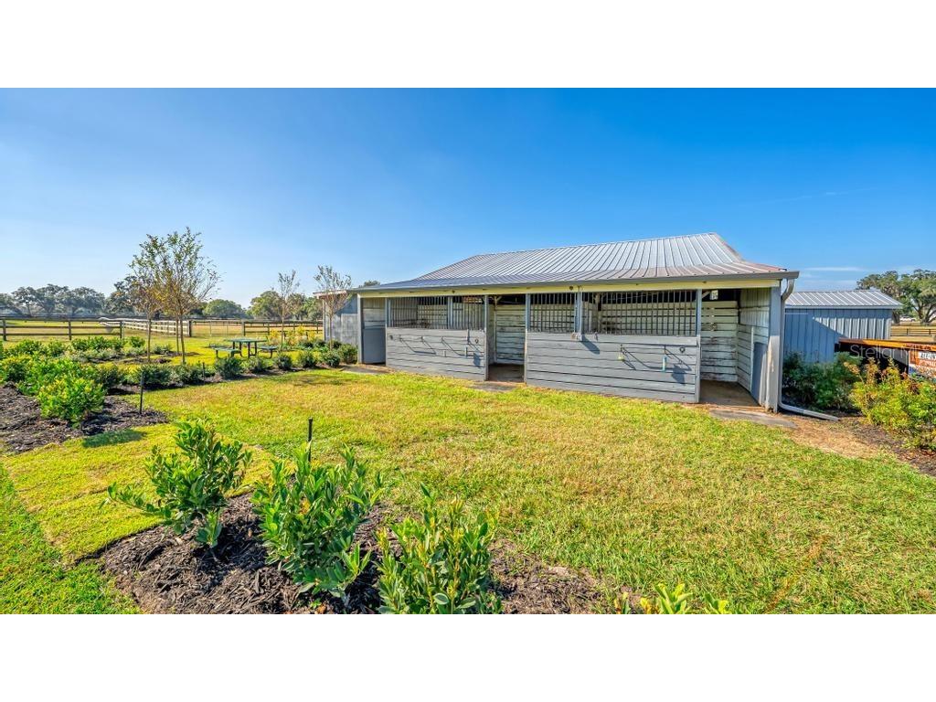 15305 NW 112th Place Road Morriston FL 32668 OM715299 image20