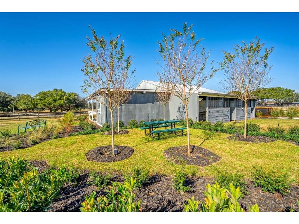 15305 NW 112th Place Road Morriston FL 32668 OM715299 image22