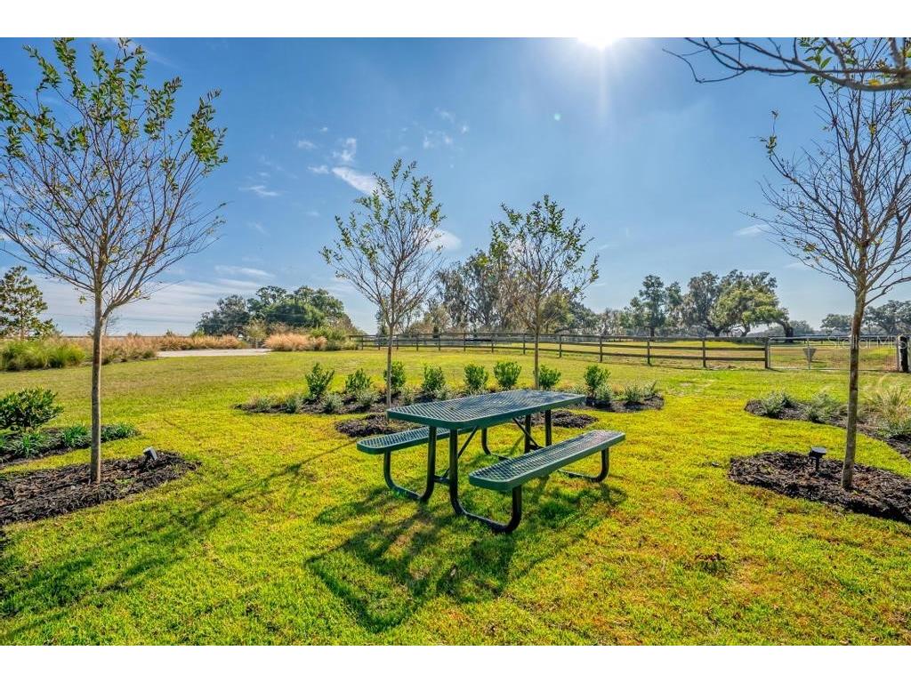 15305 NW 112th Place Road Morriston FL 32668 OM715299 image26