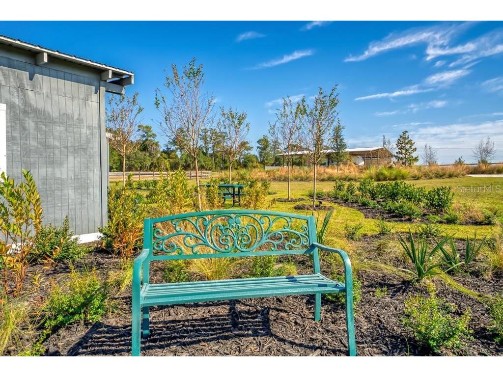 15305 NW 112th Place Road Morriston FL 32668 OM715299 image27