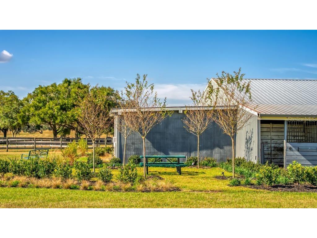 15305 NW 112th Place Road Morriston FL 32668 OM715299 image29