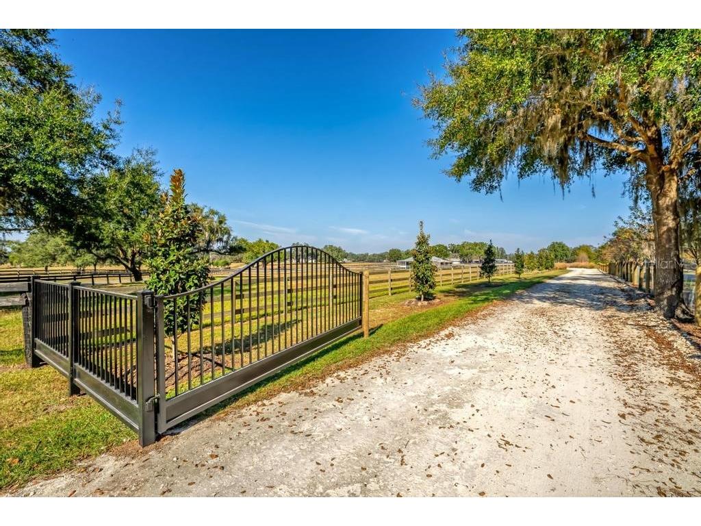 15305 NW 112th Place Road Morriston FL 32668 OM715299 image3