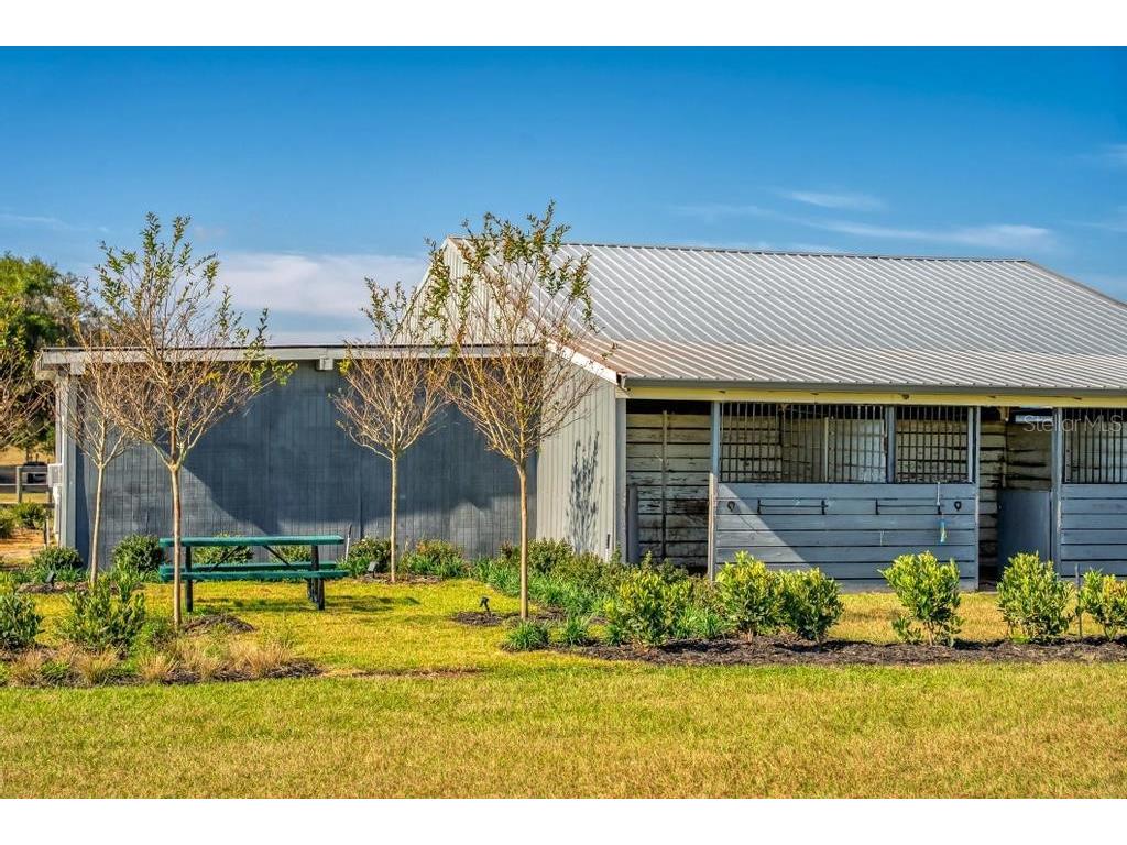 15305 NW 112th Place Road Morriston FL 32668 OM715299 image30