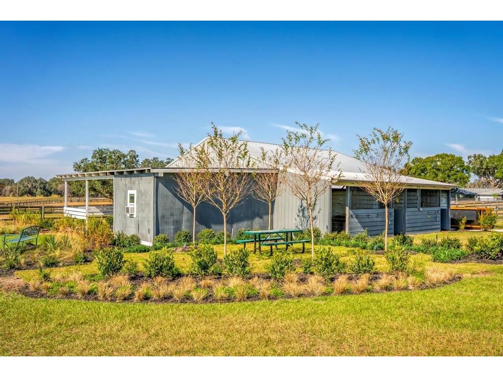 15305 NW 112th Place Road Morriston FL 32668 OM715299 image31