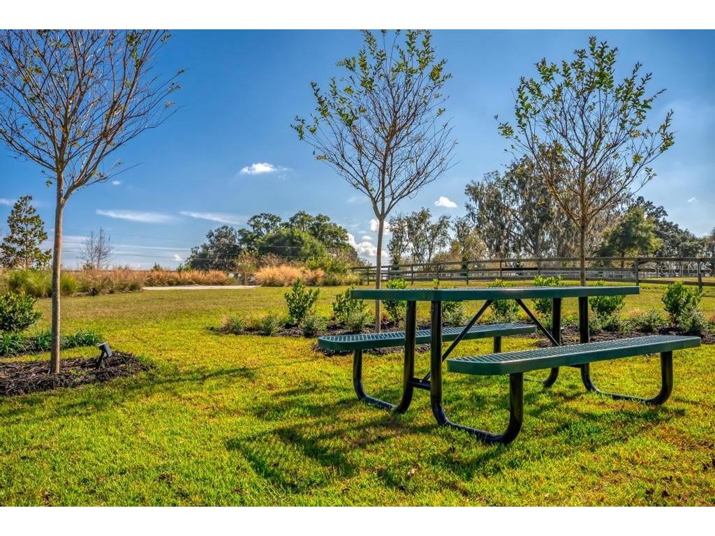 15305 NW 112th Place Road Morriston FL 32668 OM715299 image33