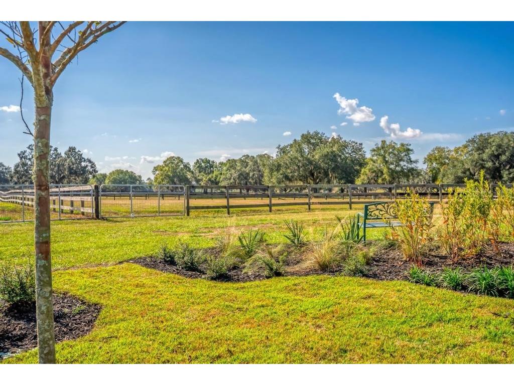15305 NW 112th Place Road Morriston FL 32668 OM715299 image34