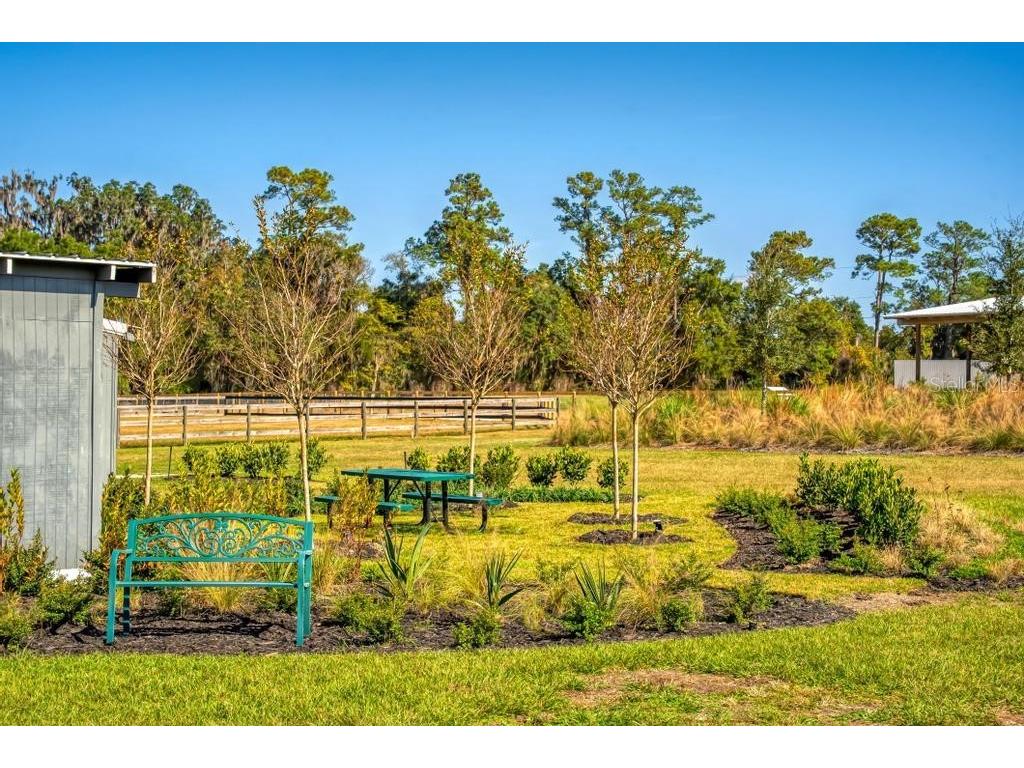 15305 NW 112th Place Road Morriston FL 32668 OM715299 image35