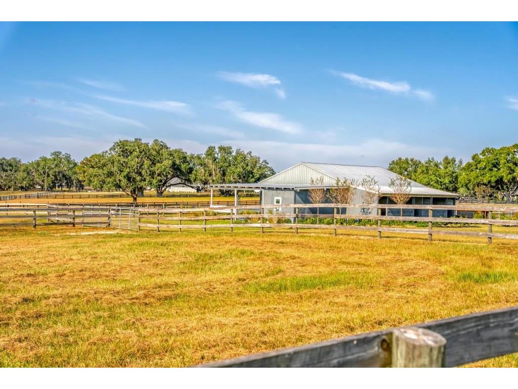 15305 NW 112th Place Road Morriston FL 32668 OM715299 image38
