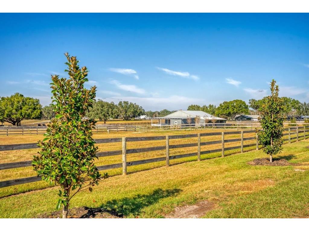 15305 NW 112th Place Road Morriston FL 32668 OM715299 image4