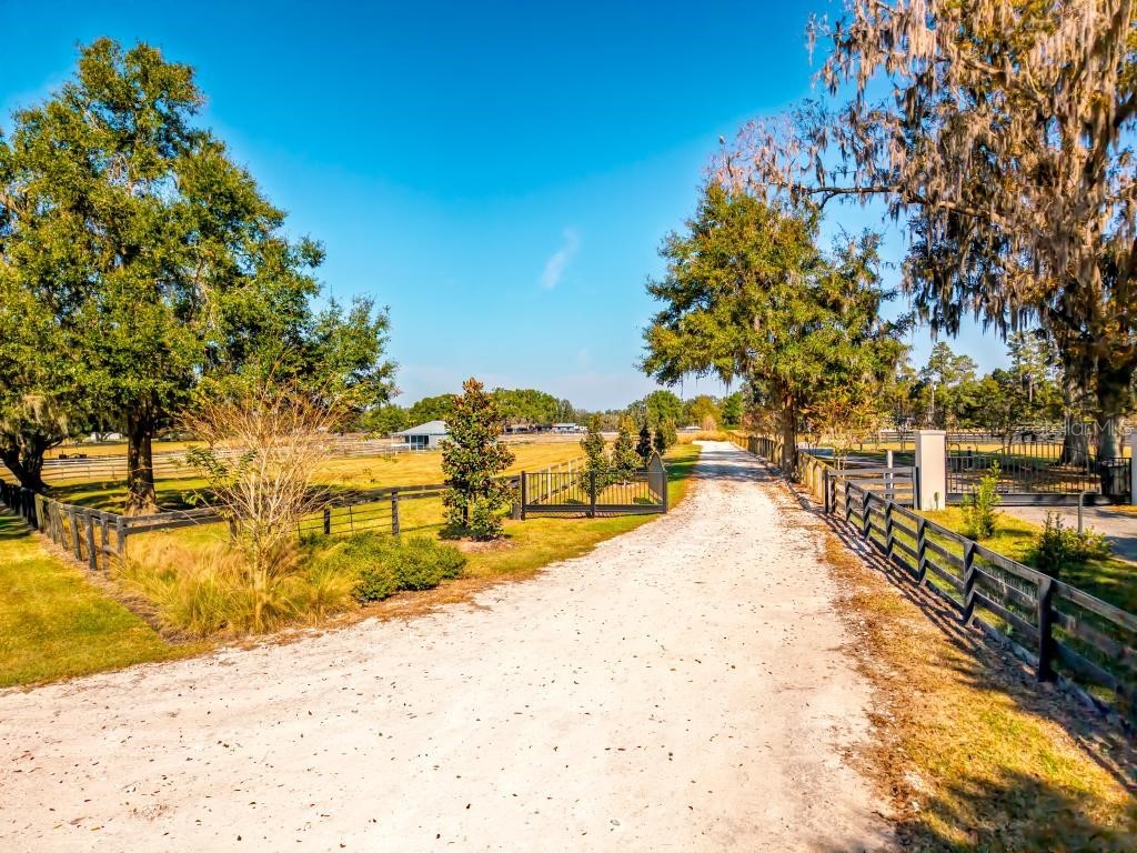 15305 NW 112th Place Road Morriston FL 32668 OM715299 image89