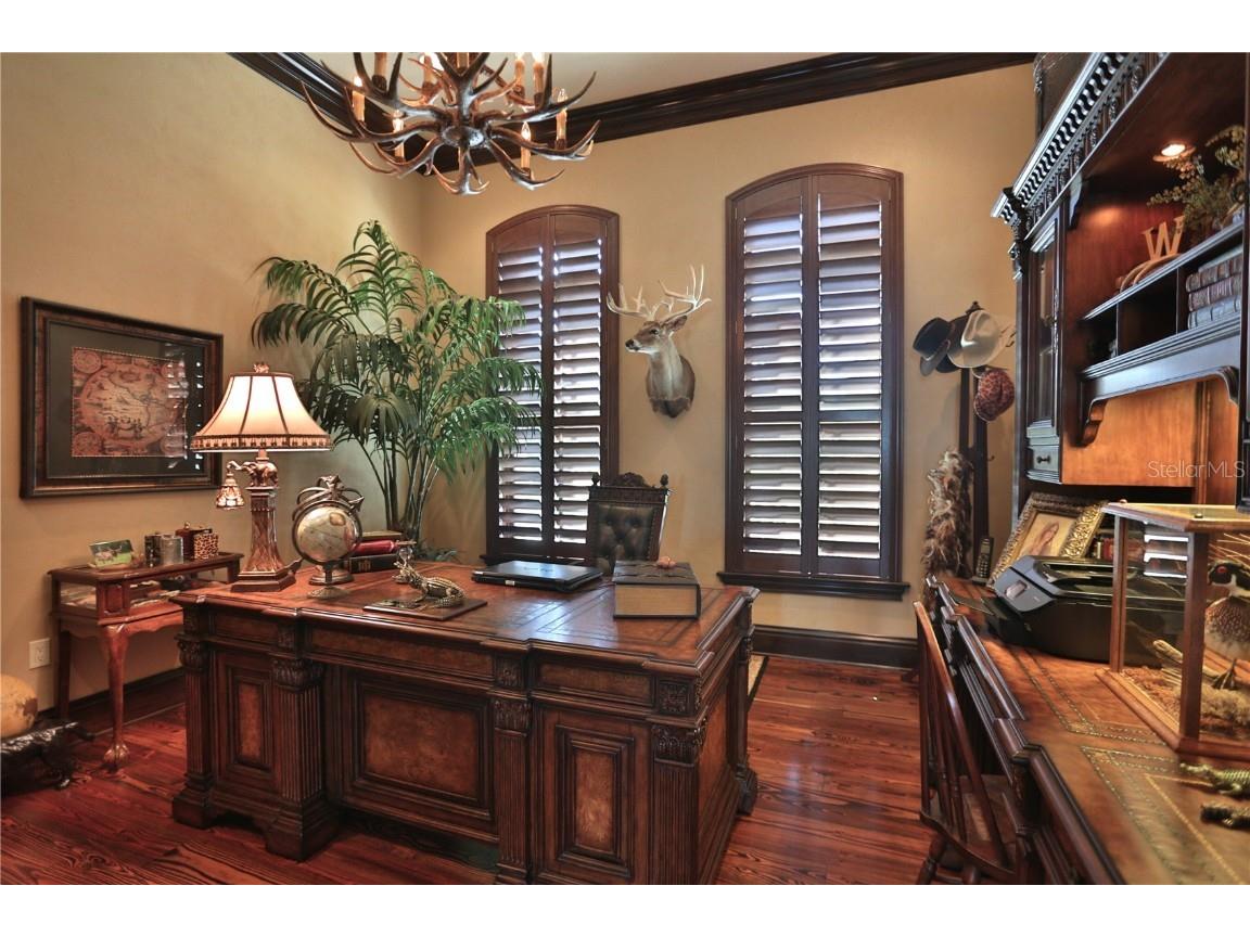 15305 NW Hwy 320 Micanopy FL 32667 - LAKE LEDWITH OM704652 image28