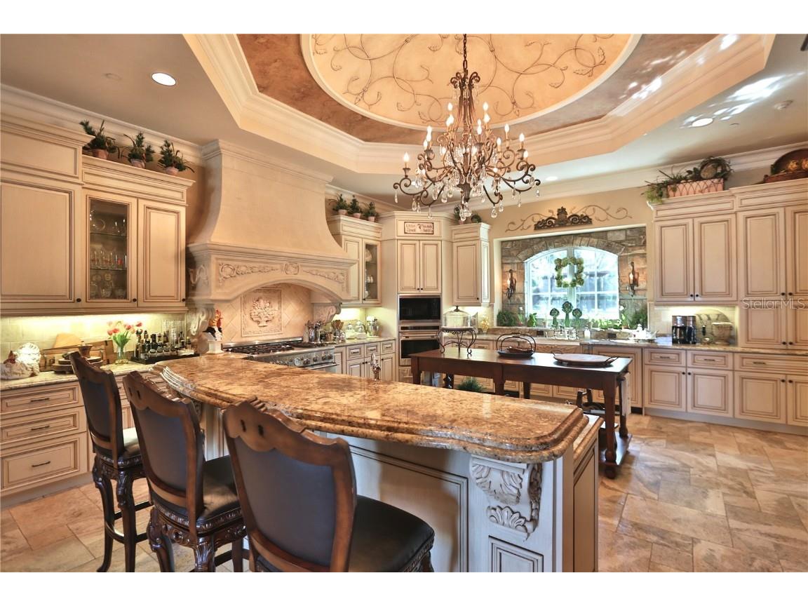 15305 NW Hwy 320 Micanopy FL 32667 - LAKE LEDWITH OM704652 image32