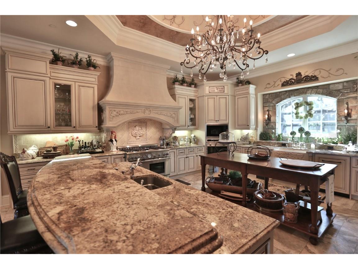 15305 NW Hwy 320 Micanopy FL 32667 - LAKE LEDWITH OM704652 image34