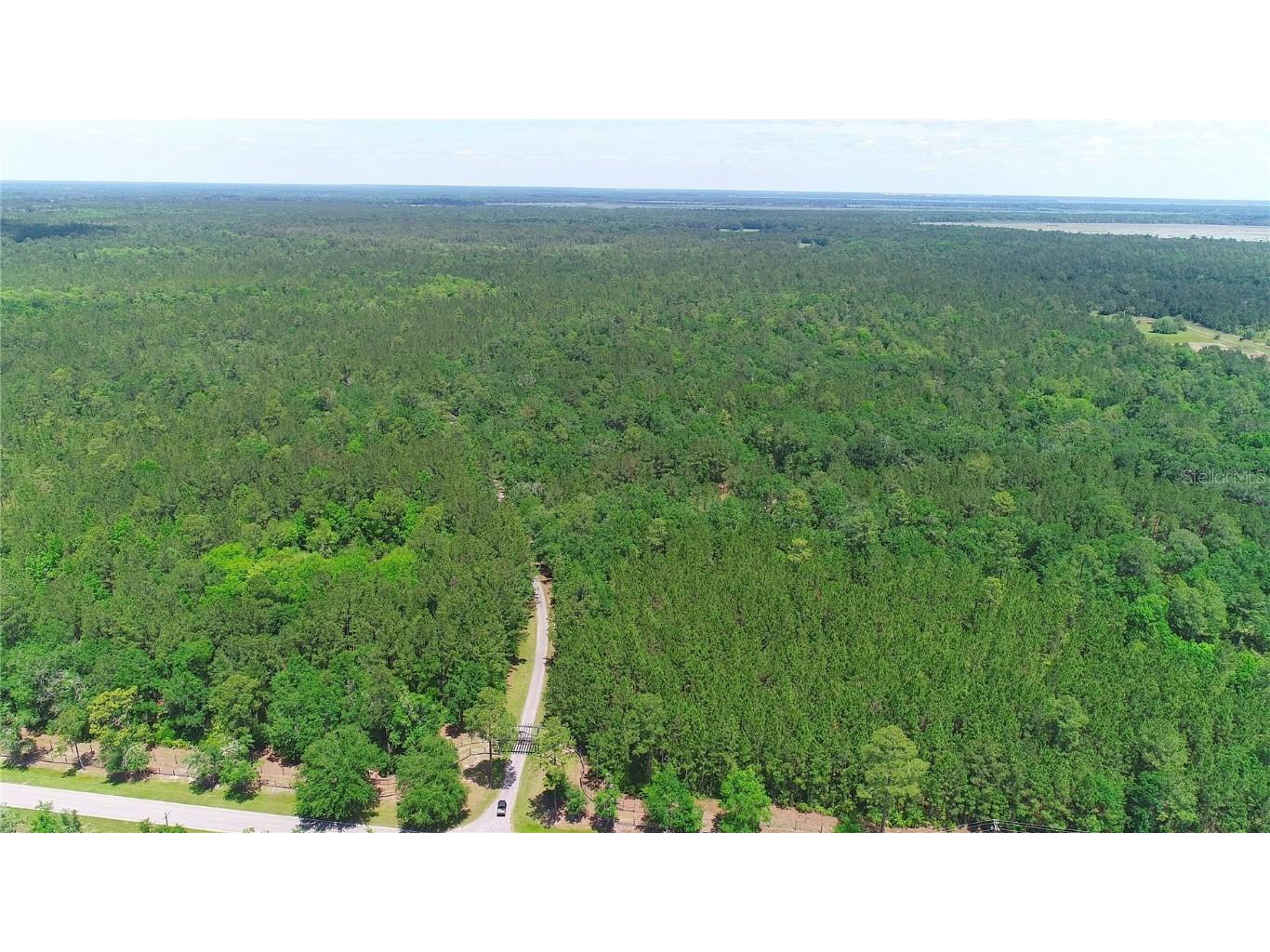 15305 NW Hwy 320 Micanopy FL 32667 - LAKE LEDWITH OM704652 image4