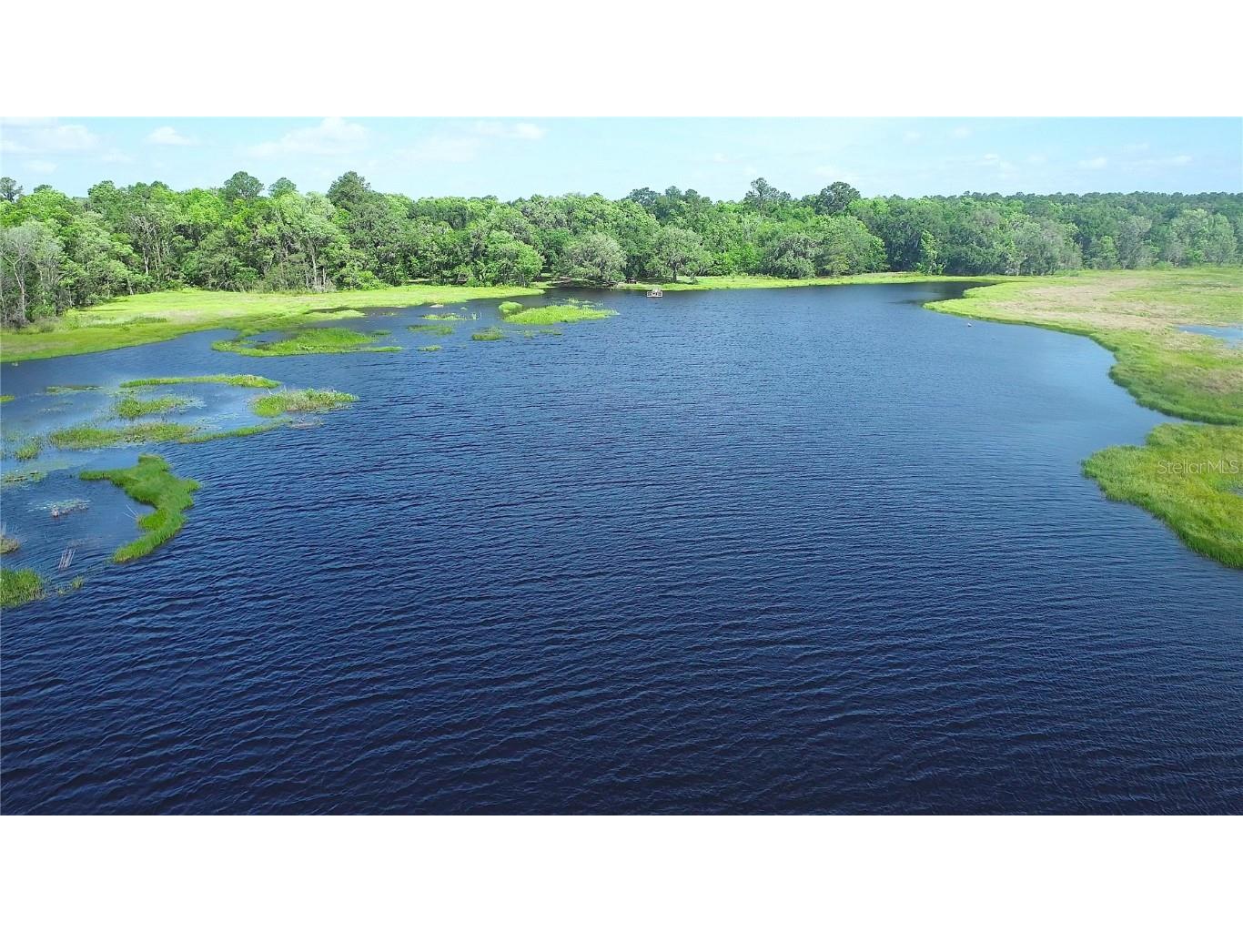 15305 NW Hwy 320 Micanopy FL 32667 - LAKE LEDWITH OM704652 image57