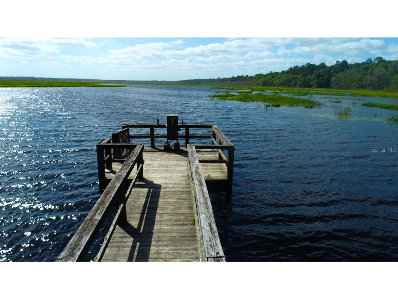 15305 NW Hwy 320 Micanopy FL 32667 - LAKE LEDWITH OM704652 image69