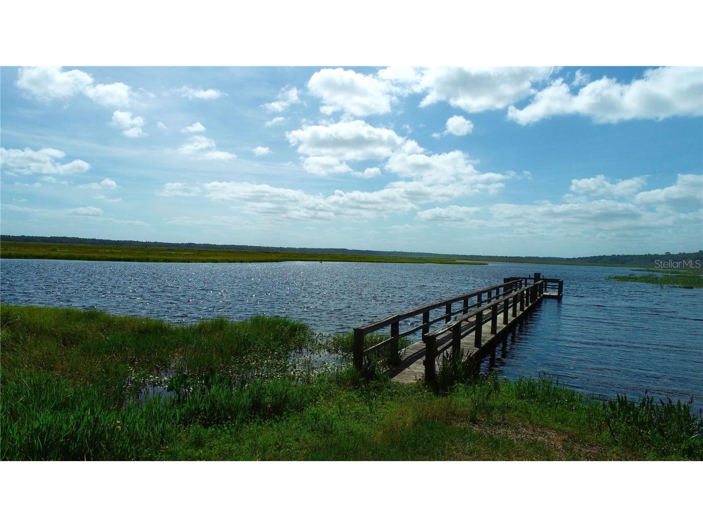 15305 NW Hwy 320 Micanopy FL 32667 - LAKE LEDWITH OM704652 image73