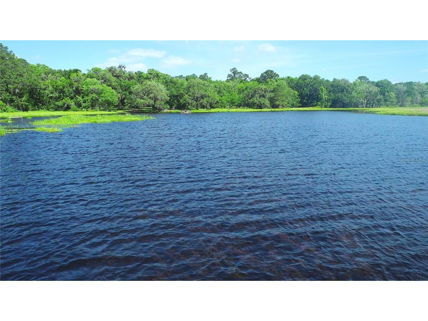 15305 NW Hwy 320 Micanopy FL 32667 - LAKE LEDWITH OM704652 image74