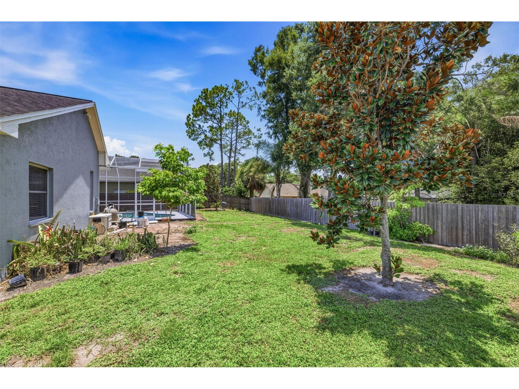 15306 Carrollton Lane Tampa FL 33624 TB8531753 image36