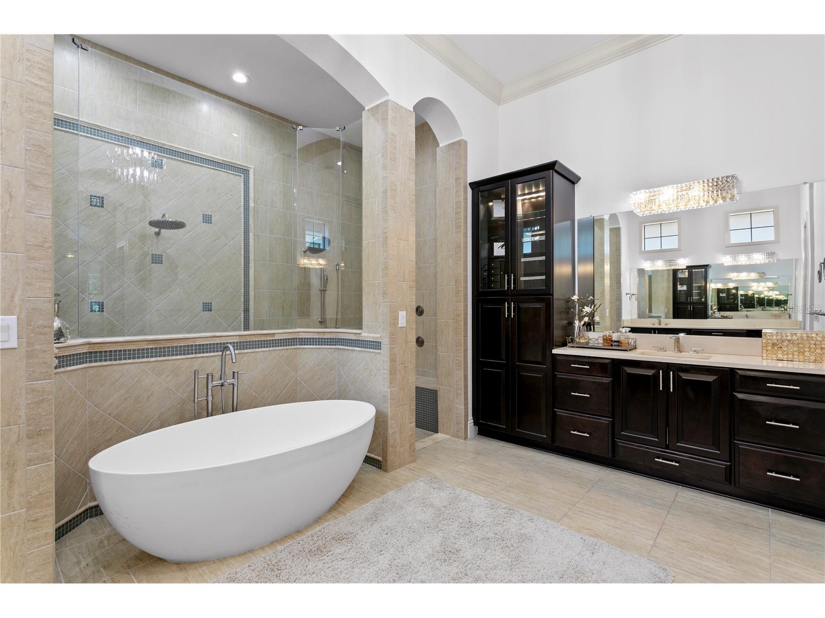 15306 Fishhawk Preserve Drive Lithia FL 33547 TB8523589 image27
